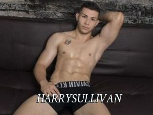 HARRYSULLIVAN