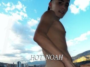 HOT_NOAH