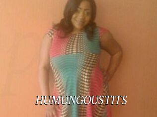 HUMUNGOUSTITS