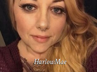HarlowMae