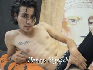 Harrys_bigstick