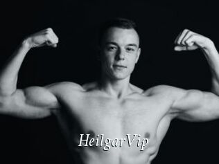 HeilgarVip
