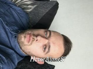 HomeAlone87