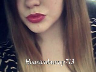 Houstonbunny713