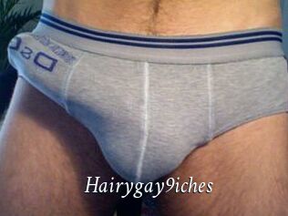 Hairygay9iches