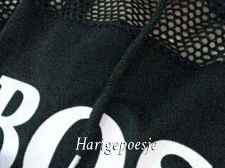 Harigepoesje