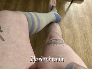 Harleybrown