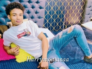 Harrymontanaa