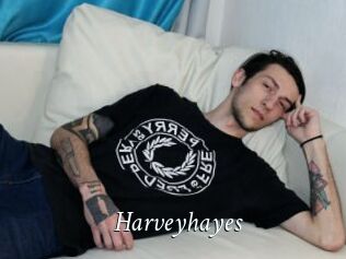 Harveyhayes
