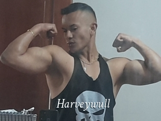 Harveywull