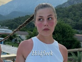 Hildfleek