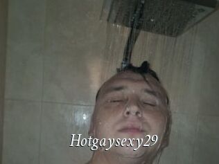 Hotgaysexy29