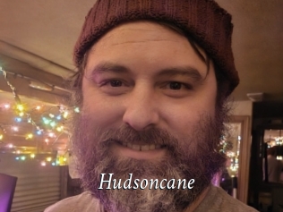 Hudsoncane