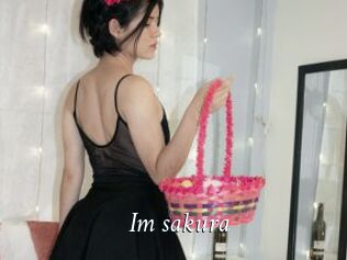Im_sakura