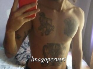 Imagopervert