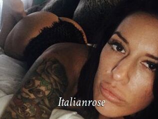 Italianrose