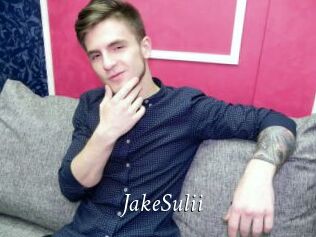 JakeSulii