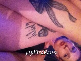 JayBirdRaven