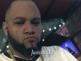 Junito313