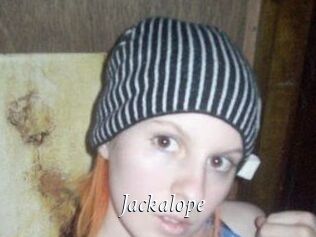 Jackalope