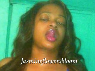 Jasmineflowersbloom