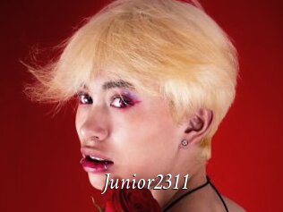 Junior2311