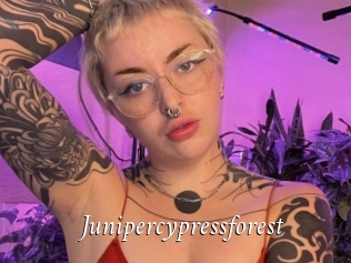Junipercypressforest