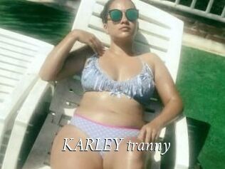 KARLEY_tranny