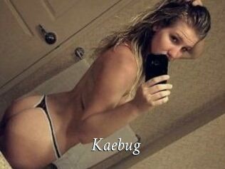 Kaebug