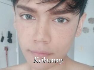 Keibummy