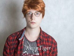 KevinTiger