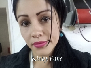 KinkyVane