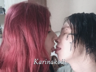 Karinakodi