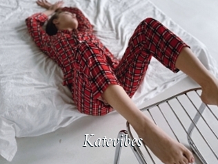 Katevibes
