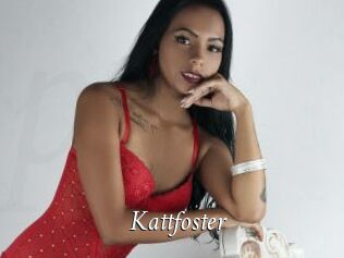 Kattfoster