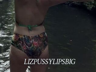 LIZPUSSYLIPSBIG