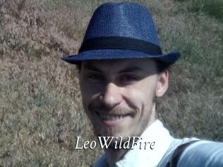LeoWildFire