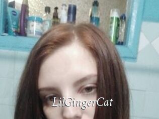 LilGingerCat