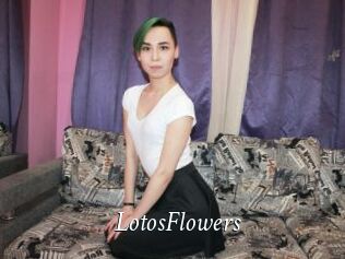 LotosFlowers