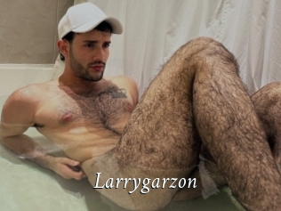 Larrygarzon