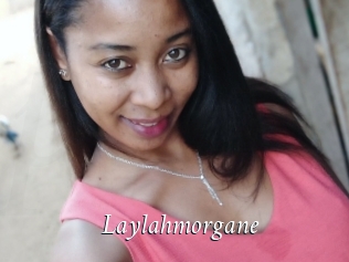 Laylahmorgane
