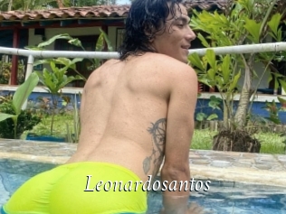 Leonardosantos