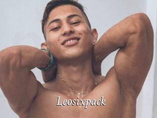 Leosixpack
