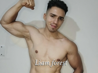 Liam_forest