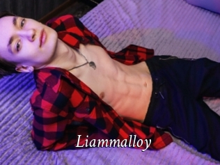 Liammalloy