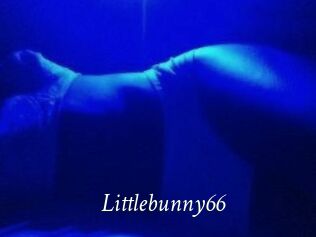 Littlebunny66