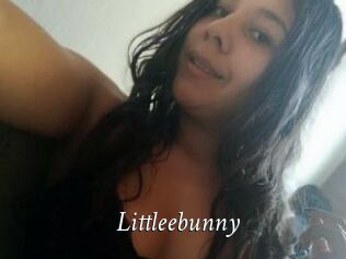 Littleebunny