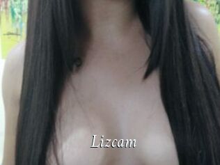 Lizcam