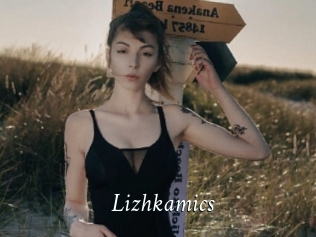Lizhkamics