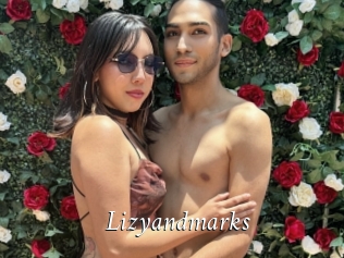 Lizyandmarks
